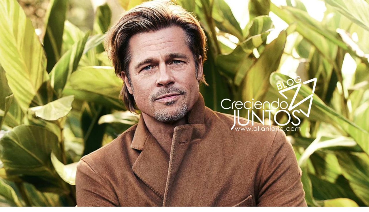 El bello de Brad Pitt